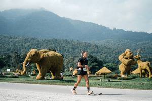 BIB: 
                            <button type="button" onclick="openModal(25914775)" class="btn btn-primary btn-sm float-right btn-popup" data-toggle="modal" data-target=".modal-high-quality">
                        <i class="fas fa-shopping-cart"></i> Add to Cart
                    </button>
                                            <button type="button" onclick="isThisMe(25914775, true)" class="btn btn-success btn-sm float-right btn-popup btn-isme hidden" data-toggle="tooltip" data-placement="bottom" title="นี่คือรูปของคุณใช่ไหม คลิกที่นี่เพื่อเอาเข้าอัลบั้ม">
                        <i class="fas fa-plus"></i> Add to album
                    </button>
                    <button type="button" onclick="isThisMe(25914775, false)" class="btn btn-warning btn-sm float-right btn-popup btn-isnotme hidden">
                        <i class="fas fa-ban"></i> Remove from album
                    </button>