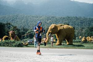 BIB: 
                            <button type="button" onclick="openModal(25914536)" class="btn btn-primary btn-sm float-right btn-popup" data-toggle="modal" data-target=".modal-high-quality">
                        <i class="fas fa-shopping-cart"></i> Add to Cart
                    </button>
                                            <button type="button" onclick="isThisMe(25914536, true)" class="btn btn-success btn-sm float-right btn-popup btn-isme hidden" data-toggle="tooltip" data-placement="bottom" title="นี่คือรูปของคุณใช่ไหม คลิกที่นี่เพื่อเอาเข้าอัลบั้ม">
                        <i class="fas fa-plus"></i> Add to album
                    </button>
                    <button type="button" onclick="isThisMe(25914536, false)" class="btn btn-warning btn-sm float-right btn-popup btn-isnotme hidden">
                        <i class="fas fa-ban"></i> Remove from album
                    </button>