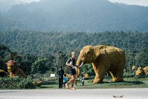 BIB: 
                            <button type="button" onclick="openModal(25889566)" class="btn btn-primary btn-sm float-right btn-popup" data-toggle="modal" data-target=".modal-high-quality">
                        <i class="fas fa-shopping-cart"></i> Add to Cart
                    </button>
                                            <button type="button" onclick="isThisMe(25889566, true)" class="btn btn-success btn-sm float-right btn-popup btn-isme hidden" data-toggle="tooltip" data-placement="bottom" title="นี่คือรูปของคุณใช่ไหม คลิกที่นี่เพื่อเอาเข้าอัลบั้ม">
                        <i class="fas fa-plus"></i> Add to album
                    </button>
                    <button type="button" onclick="isThisMe(25889566, false)" class="btn btn-warning btn-sm float-right btn-popup btn-isnotme hidden">
                        <i class="fas fa-ban"></i> Remove from album
                    </button>