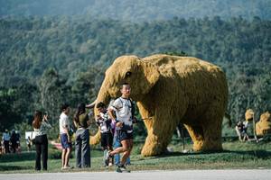 BIB: 
                            <button type="button" onclick="openModal(25881232)" class="btn btn-primary btn-sm float-right btn-popup" data-toggle="modal" data-target=".modal-high-quality">
                        <i class="fas fa-shopping-cart"></i> Add to Cart
                    </button>
                                            <button type="button" onclick="isThisMe(25881232, true)" class="btn btn-success btn-sm float-right btn-popup btn-isme hidden" data-toggle="tooltip" data-placement="bottom" title="นี่คือรูปของคุณใช่ไหม คลิกที่นี่เพื่อเอาเข้าอัลบั้ม">
                        <i class="fas fa-plus"></i> Add to album
                    </button>
                    <button type="button" onclick="isThisMe(25881232, false)" class="btn btn-warning btn-sm float-right btn-popup btn-isnotme hidden">
                        <i class="fas fa-ban"></i> Remove from album
                    </button>