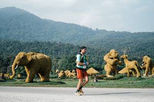 BIB: 
                            <button type="button" onclick="openModal(25872921)" class="btn btn-primary btn-sm float-right btn-popup" data-toggle="modal" data-target=".modal-high-quality">
                        <i class="fas fa-shopping-cart"></i> Add to Cart
                    </button>
                                            <button type="button" onclick="isThisMe(25872921, true)" class="btn btn-success btn-sm float-right btn-popup btn-isme hidden" data-toggle="tooltip" data-placement="bottom" title="นี่คือรูปของคุณใช่ไหม คลิกที่นี่เพื่อเอาเข้าอัลบั้ม">
                        <i class="fas fa-plus"></i> Add to album
                    </button>
                    <button type="button" onclick="isThisMe(25872921, false)" class="btn btn-warning btn-sm float-right btn-popup btn-isnotme hidden">
                        <i class="fas fa-ban"></i> Remove from album
                    </button>