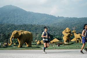 BIB: 
                            <button type="button" onclick="openModal(25873056)" class="btn btn-primary btn-sm float-right btn-popup" data-toggle="modal" data-target=".modal-high-quality">
                        <i class="fas fa-shopping-cart"></i> Add to Cart
                    </button>
                                            <button type="button" onclick="isThisMe(25873056, true)" class="btn btn-success btn-sm float-right btn-popup btn-isme hidden" data-toggle="tooltip" data-placement="bottom" title="นี่คือรูปของคุณใช่ไหม คลิกที่นี่เพื่อเอาเข้าอัลบั้ม">
                        <i class="fas fa-plus"></i> Add to album
                    </button>
                    <button type="button" onclick="isThisMe(25873056, false)" class="btn btn-warning btn-sm float-right btn-popup btn-isnotme hidden">
                        <i class="fas fa-ban"></i> Remove from album
                    </button>