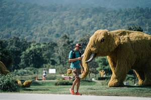 BIB: 
                            <button type="button" onclick="openModal(25929737)" class="btn btn-primary btn-sm float-right btn-popup" data-toggle="modal" data-target=".modal-high-quality">
                        <i class="fas fa-shopping-cart"></i> Add to Cart
                    </button>
                                            <button type="button" onclick="isThisMe(25929737, true)" class="btn btn-success btn-sm float-right btn-popup btn-isme hidden" data-toggle="tooltip" data-placement="bottom" title="นี่คือรูปของคุณใช่ไหม คลิกที่นี่เพื่อเอาเข้าอัลบั้ม">
                        <i class="fas fa-plus"></i> Add to album
                    </button>
                    <button type="button" onclick="isThisMe(25929737, false)" class="btn btn-warning btn-sm float-right btn-popup btn-isnotme hidden">
                        <i class="fas fa-ban"></i> Remove from album
                    </button>