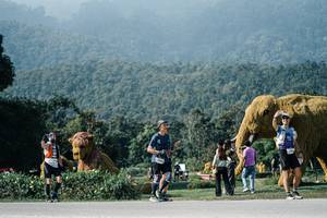 BIB: 
                            <button type="button" onclick="openModal(25881788)" class="btn btn-primary btn-sm float-right btn-popup" data-toggle="modal" data-target=".modal-high-quality">
                        <i class="fas fa-shopping-cart"></i> Add to Cart
                    </button>
                                            <button type="button" onclick="isThisMe(25881788, true)" class="btn btn-success btn-sm float-right btn-popup btn-isme hidden" data-toggle="tooltip" data-placement="bottom" title="นี่คือรูปของคุณใช่ไหม คลิกที่นี่เพื่อเอาเข้าอัลบั้ม">
                        <i class="fas fa-plus"></i> Add to album
                    </button>
                    <button type="button" onclick="isThisMe(25881788, false)" class="btn btn-warning btn-sm float-right btn-popup btn-isnotme hidden">
                        <i class="fas fa-ban"></i> Remove from album
                    </button>