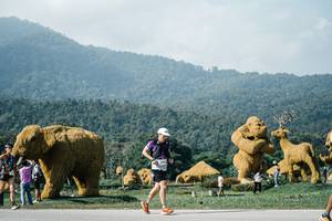 BIB: 
                            <button type="button" onclick="openModal(25880518)" class="btn btn-primary btn-sm float-right btn-popup" data-toggle="modal" data-target=".modal-high-quality">
                        <i class="fas fa-shopping-cart"></i> Add to Cart
                    </button>
                                            <button type="button" onclick="isThisMe(25880518, true)" class="btn btn-success btn-sm float-right btn-popup btn-isme hidden" data-toggle="tooltip" data-placement="bottom" title="นี่คือรูปของคุณใช่ไหม คลิกที่นี่เพื่อเอาเข้าอัลบั้ม">
                        <i class="fas fa-plus"></i> Add to album
                    </button>
                    <button type="button" onclick="isThisMe(25880518, false)" class="btn btn-warning btn-sm float-right btn-popup btn-isnotme hidden">
                        <i class="fas fa-ban"></i> Remove from album
                    </button>