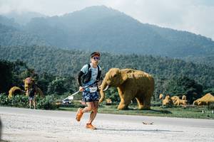 BIB: 
                            <button type="button" onclick="openModal(25889127)" class="btn btn-primary btn-sm float-right btn-popup" data-toggle="modal" data-target=".modal-high-quality">
                        <i class="fas fa-shopping-cart"></i> Add to Cart
                    </button>
                                            <button type="button" onclick="isThisMe(25889127, true)" class="btn btn-success btn-sm float-right btn-popup btn-isme hidden" data-toggle="tooltip" data-placement="bottom" title="นี่คือรูปของคุณใช่ไหม คลิกที่นี่เพื่อเอาเข้าอัลบั้ม">
                        <i class="fas fa-plus"></i> Add to album
                    </button>
                    <button type="button" onclick="isThisMe(25889127, false)" class="btn btn-warning btn-sm float-right btn-popup btn-isnotme hidden">
                        <i class="fas fa-ban"></i> Remove from album
                    </button>