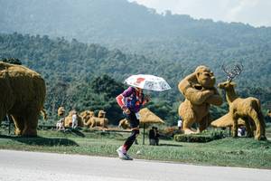 BIB: 
                            <button type="button" onclick="openModal(25977597)" class="btn btn-primary btn-sm float-right btn-popup" data-toggle="modal" data-target=".modal-high-quality">
                        <i class="fas fa-shopping-cart"></i> Add to Cart
                    </button>
                                            <button type="button" onclick="isThisMe(25977597, true)" class="btn btn-success btn-sm float-right btn-popup btn-isme hidden" data-toggle="tooltip" data-placement="bottom" title="นี่คือรูปของคุณใช่ไหม คลิกที่นี่เพื่อเอาเข้าอัลบั้ม">
                        <i class="fas fa-plus"></i> Add to album
                    </button>
                    <button type="button" onclick="isThisMe(25977597, false)" class="btn btn-warning btn-sm float-right btn-popup btn-isnotme hidden">
                        <i class="fas fa-ban"></i> Remove from album
                    </button>