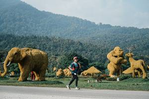 BIB: 
                            <button type="button" onclick="openModal(25871371)" class="btn btn-primary btn-sm float-right btn-popup" data-toggle="modal" data-target=".modal-high-quality">
                        <i class="fas fa-shopping-cart"></i> Add to Cart
                    </button>
                                            <button type="button" onclick="isThisMe(25871371, true)" class="btn btn-success btn-sm float-right btn-popup btn-isme hidden" data-toggle="tooltip" data-placement="bottom" title="นี่คือรูปของคุณใช่ไหม คลิกที่นี่เพื่อเอาเข้าอัลบั้ม">
                        <i class="fas fa-plus"></i> Add to album
                    </button>
                    <button type="button" onclick="isThisMe(25871371, false)" class="btn btn-warning btn-sm float-right btn-popup btn-isnotme hidden">
                        <i class="fas fa-ban"></i> Remove from album
                    </button>