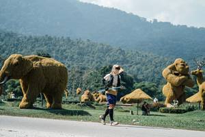 BIB: 
                            <button type="button" onclick="openModal(25970044)" class="btn btn-primary btn-sm float-right btn-popup" data-toggle="modal" data-target=".modal-high-quality">
                        <i class="fas fa-shopping-cart"></i> Add to Cart
                    </button>
                                            <button type="button" onclick="isThisMe(25970044, true)" class="btn btn-success btn-sm float-right btn-popup btn-isme hidden" data-toggle="tooltip" data-placement="bottom" title="นี่คือรูปของคุณใช่ไหม คลิกที่นี่เพื่อเอาเข้าอัลบั้ม">
                        <i class="fas fa-plus"></i> Add to album
                    </button>
                    <button type="button" onclick="isThisMe(25970044, false)" class="btn btn-warning btn-sm float-right btn-popup btn-isnotme hidden">
                        <i class="fas fa-ban"></i> Remove from album
                    </button>