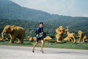 BIB: 
                            <button type="button" onclick="openModal(25870949)" class="btn btn-primary btn-sm float-right btn-popup" data-toggle="modal" data-target=".modal-high-quality">
                        <i class="fas fa-shopping-cart"></i> Add to Cart
                    </button>
                                            <button type="button" onclick="isThisMe(25870949, true)" class="btn btn-success btn-sm float-right btn-popup btn-isme hidden" data-toggle="tooltip" data-placement="bottom" title="นี่คือรูปของคุณใช่ไหม คลิกที่นี่เพื่อเอาเข้าอัลบั้ม">
                        <i class="fas fa-plus"></i> Add to album
                    </button>
                    <button type="button" onclick="isThisMe(25870949, false)" class="btn btn-warning btn-sm float-right btn-popup btn-isnotme hidden">
                        <i class="fas fa-ban"></i> Remove from album
                    </button>