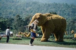 BIB: 
                            <button type="button" onclick="openModal(25969995)" class="btn btn-primary btn-sm float-right btn-popup" data-toggle="modal" data-target=".modal-high-quality">
                        <i class="fas fa-shopping-cart"></i> Add to Cart
                    </button>
                                            <button type="button" onclick="isThisMe(25969995, true)" class="btn btn-success btn-sm float-right btn-popup btn-isme hidden" data-toggle="tooltip" data-placement="bottom" title="นี่คือรูปของคุณใช่ไหม คลิกที่นี่เพื่อเอาเข้าอัลบั้ม">
                        <i class="fas fa-plus"></i> Add to album
                    </button>
                    <button type="button" onclick="isThisMe(25969995, false)" class="btn btn-warning btn-sm float-right btn-popup btn-isnotme hidden">
                        <i class="fas fa-ban"></i> Remove from album
                    </button>