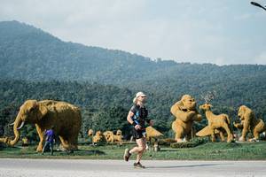 BIB: 
                            <button type="button" onclick="openModal(25871943)" class="btn btn-primary btn-sm float-right btn-popup" data-toggle="modal" data-target=".modal-high-quality">
                        <i class="fas fa-shopping-cart"></i> Add to Cart
                    </button>
                                            <button type="button" onclick="isThisMe(25871943, true)" class="btn btn-success btn-sm float-right btn-popup btn-isme hidden" data-toggle="tooltip" data-placement="bottom" title="นี่คือรูปของคุณใช่ไหม คลิกที่นี่เพื่อเอาเข้าอัลบั้ม">
                        <i class="fas fa-plus"></i> Add to album
                    </button>
                    <button type="button" onclick="isThisMe(25871943, false)" class="btn btn-warning btn-sm float-right btn-popup btn-isnotme hidden">
                        <i class="fas fa-ban"></i> Remove from album
                    </button>