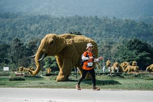 BIB: 
                            <button type="button" onclick="openModal(25967234)" class="btn btn-primary btn-sm float-right btn-popup" data-toggle="modal" data-target=".modal-high-quality">
                        <i class="fas fa-shopping-cart"></i> Add to Cart
                    </button>
                                            <button type="button" onclick="isThisMe(25967234, true)" class="btn btn-success btn-sm float-right btn-popup btn-isme hidden" data-toggle="tooltip" data-placement="bottom" title="นี่คือรูปของคุณใช่ไหม คลิกที่นี่เพื่อเอาเข้าอัลบั้ม">
                        <i class="fas fa-plus"></i> Add to album
                    </button>
                    <button type="button" onclick="isThisMe(25967234, false)" class="btn btn-warning btn-sm float-right btn-popup btn-isnotme hidden">
                        <i class="fas fa-ban"></i> Remove from album
                    </button>