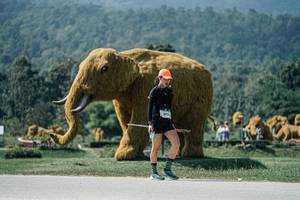 BIB: 
                            <button type="button" onclick="openModal(25967025)" class="btn btn-primary btn-sm float-right btn-popup" data-toggle="modal" data-target=".modal-high-quality">
                        <i class="fas fa-shopping-cart"></i> Add to Cart
                    </button>
                                            <button type="button" onclick="isThisMe(25967025, true)" class="btn btn-success btn-sm float-right btn-popup btn-isme hidden" data-toggle="tooltip" data-placement="bottom" title="นี่คือรูปของคุณใช่ไหม คลิกที่นี่เพื่อเอาเข้าอัลบั้ม">
                        <i class="fas fa-plus"></i> Add to album
                    </button>
                    <button type="button" onclick="isThisMe(25967025, false)" class="btn btn-warning btn-sm float-right btn-popup btn-isnotme hidden">
                        <i class="fas fa-ban"></i> Remove from album
                    </button>