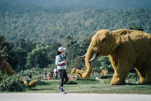 BIB: 
                            <button type="button" onclick="openModal(25928048)" class="btn btn-primary btn-sm float-right btn-popup" data-toggle="modal" data-target=".modal-high-quality">
                        <i class="fas fa-shopping-cart"></i> Add to Cart
                    </button>
                                            <button type="button" onclick="isThisMe(25928048, true)" class="btn btn-success btn-sm float-right btn-popup btn-isme hidden" data-toggle="tooltip" data-placement="bottom" title="นี่คือรูปของคุณใช่ไหม คลิกที่นี่เพื่อเอาเข้าอัลบั้ม">
                        <i class="fas fa-plus"></i> Add to album
                    </button>
                    <button type="button" onclick="isThisMe(25928048, false)" class="btn btn-warning btn-sm float-right btn-popup btn-isnotme hidden">
                        <i class="fas fa-ban"></i> Remove from album
                    </button>