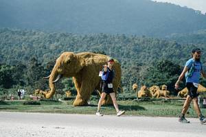 BIB: 
                            <button type="button" onclick="openModal(25931996)" class="btn btn-primary btn-sm float-right btn-popup" data-toggle="modal" data-target=".modal-high-quality">
                        <i class="fas fa-shopping-cart"></i> Add to Cart
                    </button>
                                            <button type="button" onclick="isThisMe(25931996, true)" class="btn btn-success btn-sm float-right btn-popup btn-isme hidden" data-toggle="tooltip" data-placement="bottom" title="นี่คือรูปของคุณใช่ไหม คลิกที่นี่เพื่อเอาเข้าอัลบั้ม">
                        <i class="fas fa-plus"></i> Add to album
                    </button>
                    <button type="button" onclick="isThisMe(25931996, false)" class="btn btn-warning btn-sm float-right btn-popup btn-isnotme hidden">
                        <i class="fas fa-ban"></i> Remove from album
                    </button>