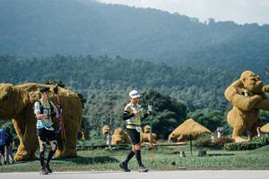 BIB: 
                            <button type="button" onclick="openModal(25940675)" class="btn btn-primary btn-sm float-right btn-popup" data-toggle="modal" data-target=".modal-high-quality">
                        <i class="fas fa-shopping-cart"></i> Add to Cart
                    </button>
                                            <button type="button" onclick="isThisMe(25940675, true)" class="btn btn-success btn-sm float-right btn-popup btn-isme hidden" data-toggle="tooltip" data-placement="bottom" title="นี่คือรูปของคุณใช่ไหม คลิกที่นี่เพื่อเอาเข้าอัลบั้ม">
                        <i class="fas fa-plus"></i> Add to album
                    </button>
                    <button type="button" onclick="isThisMe(25940675, false)" class="btn btn-warning btn-sm float-right btn-popup btn-isnotme hidden">
                        <i class="fas fa-ban"></i> Remove from album
                    </button>