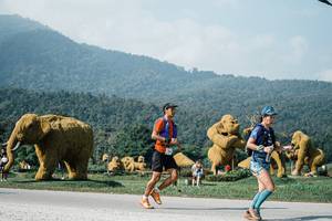 BIB: 
                            <button type="button" onclick="openModal(25884588)" class="btn btn-primary btn-sm float-right btn-popup" data-toggle="modal" data-target=".modal-high-quality">
                        <i class="fas fa-shopping-cart"></i> Add to Cart
                    </button>
                                            <button type="button" onclick="isThisMe(25884588, true)" class="btn btn-success btn-sm float-right btn-popup btn-isme hidden" data-toggle="tooltip" data-placement="bottom" title="นี่คือรูปของคุณใช่ไหม คลิกที่นี่เพื่อเอาเข้าอัลบั้ม">
                        <i class="fas fa-plus"></i> Add to album
                    </button>
                    <button type="button" onclick="isThisMe(25884588, false)" class="btn btn-warning btn-sm float-right btn-popup btn-isnotme hidden">
                        <i class="fas fa-ban"></i> Remove from album
                    </button>