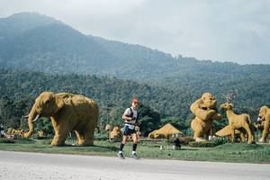 BIB: 
                            <button type="button" onclick="openModal(25877956)" class="btn btn-primary btn-sm float-right btn-popup" data-toggle="modal" data-target=".modal-high-quality">
                        <i class="fas fa-shopping-cart"></i> Add to Cart
                    </button>
                                            <button type="button" onclick="isThisMe(25877956, true)" class="btn btn-success btn-sm float-right btn-popup btn-isme hidden" data-toggle="tooltip" data-placement="bottom" title="นี่คือรูปของคุณใช่ไหม คลิกที่นี่เพื่อเอาเข้าอัลบั้ม">
                        <i class="fas fa-plus"></i> Add to album
                    </button>
                    <button type="button" onclick="isThisMe(25877956, false)" class="btn btn-warning btn-sm float-right btn-popup btn-isnotme hidden">
                        <i class="fas fa-ban"></i> Remove from album
                    </button>