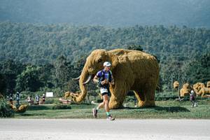 BIB: 
                            <button type="button" onclick="openModal(25914938)" class="btn btn-primary btn-sm float-right btn-popup" data-toggle="modal" data-target=".modal-high-quality">
                        <i class="fas fa-shopping-cart"></i> Add to Cart
                    </button>
                                            <button type="button" onclick="isThisMe(25914938, true)" class="btn btn-success btn-sm float-right btn-popup btn-isme hidden" data-toggle="tooltip" data-placement="bottom" title="นี่คือรูปของคุณใช่ไหม คลิกที่นี่เพื่อเอาเข้าอัลบั้ม">
                        <i class="fas fa-plus"></i> Add to album
                    </button>
                    <button type="button" onclick="isThisMe(25914938, false)" class="btn btn-warning btn-sm float-right btn-popup btn-isnotme hidden">
                        <i class="fas fa-ban"></i> Remove from album
                    </button>