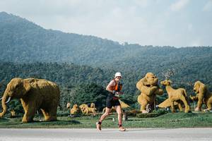 BIB: 
                            <button type="button" onclick="openModal(25872030)" class="btn btn-primary btn-sm float-right btn-popup" data-toggle="modal" data-target=".modal-high-quality">
                        <i class="fas fa-shopping-cart"></i> Add to Cart
                    </button>
                                            <button type="button" onclick="isThisMe(25872030, true)" class="btn btn-success btn-sm float-right btn-popup btn-isme hidden" data-toggle="tooltip" data-placement="bottom" title="นี่คือรูปของคุณใช่ไหม คลิกที่นี่เพื่อเอาเข้าอัลบั้ม">
                        <i class="fas fa-plus"></i> Add to album
                    </button>
                    <button type="button" onclick="isThisMe(25872030, false)" class="btn btn-warning btn-sm float-right btn-popup btn-isnotme hidden">
                        <i class="fas fa-ban"></i> Remove from album
                    </button>