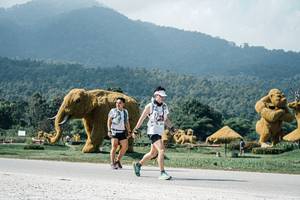 BIB: 
                            <button type="button" onclick="openModal(25945059)" class="btn btn-primary btn-sm float-right btn-popup" data-toggle="modal" data-target=".modal-high-quality">
                        <i class="fas fa-shopping-cart"></i> Add to Cart
                    </button>
                                            <button type="button" onclick="isThisMe(25945059, true)" class="btn btn-success btn-sm float-right btn-popup btn-isme hidden" data-toggle="tooltip" data-placement="bottom" title="นี่คือรูปของคุณใช่ไหม คลิกที่นี่เพื่อเอาเข้าอัลบั้ม">
                        <i class="fas fa-plus"></i> Add to album
                    </button>
                    <button type="button" onclick="isThisMe(25945059, false)" class="btn btn-warning btn-sm float-right btn-popup btn-isnotme hidden">
                        <i class="fas fa-ban"></i> Remove from album
                    </button>