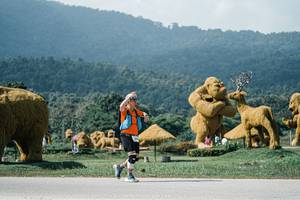 BIB: 
                            <button type="button" onclick="openModal(25941293)" class="btn btn-primary btn-sm float-right btn-popup" data-toggle="modal" data-target=".modal-high-quality">
                        <i class="fas fa-shopping-cart"></i> Add to Cart
                    </button>
                                            <button type="button" onclick="isThisMe(25941293, true)" class="btn btn-success btn-sm float-right btn-popup btn-isme hidden" data-toggle="tooltip" data-placement="bottom" title="นี่คือรูปของคุณใช่ไหม คลิกที่นี่เพื่อเอาเข้าอัลบั้ม">
                        <i class="fas fa-plus"></i> Add to album
                    </button>
                    <button type="button" onclick="isThisMe(25941293, false)" class="btn btn-warning btn-sm float-right btn-popup btn-isnotme hidden">
                        <i class="fas fa-ban"></i> Remove from album
                    </button>