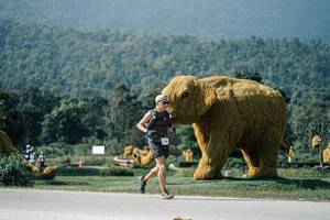 BIB: 
                            <button type="button" onclick="openModal(25907295)" class="btn btn-primary btn-sm float-right btn-popup" data-toggle="modal" data-target=".modal-high-quality">
                        <i class="fas fa-shopping-cart"></i> Add to Cart
                    </button>
                                            <button type="button" onclick="isThisMe(25907295, true)" class="btn btn-success btn-sm float-right btn-popup btn-isme hidden" data-toggle="tooltip" data-placement="bottom" title="นี่คือรูปของคุณใช่ไหม คลิกที่นี่เพื่อเอาเข้าอัลบั้ม">
                        <i class="fas fa-plus"></i> Add to album
                    </button>
                    <button type="button" onclick="isThisMe(25907295, false)" class="btn btn-warning btn-sm float-right btn-popup btn-isnotme hidden">
                        <i class="fas fa-ban"></i> Remove from album
                    </button>