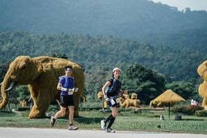 BIB: 
                            <button type="button" onclick="openModal(25942369)" class="btn btn-primary btn-sm float-right btn-popup" data-toggle="modal" data-target=".modal-high-quality">
                        <i class="fas fa-shopping-cart"></i> Add to Cart
                    </button>
                                            <button type="button" onclick="isThisMe(25942369, true)" class="btn btn-success btn-sm float-right btn-popup btn-isme hidden" data-toggle="tooltip" data-placement="bottom" title="นี่คือรูปของคุณใช่ไหม คลิกที่นี่เพื่อเอาเข้าอัลบั้ม">
                        <i class="fas fa-plus"></i> Add to album
                    </button>
                    <button type="button" onclick="isThisMe(25942369, false)" class="btn btn-warning btn-sm float-right btn-popup btn-isnotme hidden">
                        <i class="fas fa-ban"></i> Remove from album
                    </button>