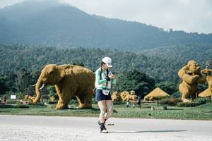 BIB: 
                            <button type="button" onclick="openModal(25911003)" class="btn btn-primary btn-sm float-right btn-popup" data-toggle="modal" data-target=".modal-high-quality">
                        <i class="fas fa-shopping-cart"></i> Add to Cart
                    </button>
                                            <button type="button" onclick="isThisMe(25911003, true)" class="btn btn-success btn-sm float-right btn-popup btn-isme hidden" data-toggle="tooltip" data-placement="bottom" title="นี่คือรูปของคุณใช่ไหม คลิกที่นี่เพื่อเอาเข้าอัลบั้ม">
                        <i class="fas fa-plus"></i> Add to album
                    </button>
                    <button type="button" onclick="isThisMe(25911003, false)" class="btn btn-warning btn-sm float-right btn-popup btn-isnotme hidden">
                        <i class="fas fa-ban"></i> Remove from album
                    </button>