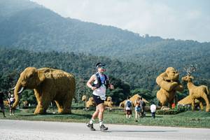 BIB: 
                            <button type="button" onclick="openModal(25884457)" class="btn btn-primary btn-sm float-right btn-popup" data-toggle="modal" data-target=".modal-high-quality">
                        <i class="fas fa-shopping-cart"></i> Add to Cart
                    </button>
                                            <button type="button" onclick="isThisMe(25884457, true)" class="btn btn-success btn-sm float-right btn-popup btn-isme hidden" data-toggle="tooltip" data-placement="bottom" title="นี่คือรูปของคุณใช่ไหม คลิกที่นี่เพื่อเอาเข้าอัลบั้ม">
                        <i class="fas fa-plus"></i> Add to album
                    </button>
                    <button type="button" onclick="isThisMe(25884457, false)" class="btn btn-warning btn-sm float-right btn-popup btn-isnotme hidden">
                        <i class="fas fa-ban"></i> Remove from album
                    </button>