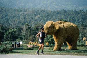 BIB: 
                            <button type="button" onclick="openModal(25877161)" class="btn btn-primary btn-sm float-right btn-popup" data-toggle="modal" data-target=".modal-high-quality">
                        <i class="fas fa-shopping-cart"></i> Add to Cart
                    </button>
                                            <button type="button" onclick="isThisMe(25877161, true)" class="btn btn-success btn-sm float-right btn-popup btn-isme hidden" data-toggle="tooltip" data-placement="bottom" title="นี่คือรูปของคุณใช่ไหม คลิกที่นี่เพื่อเอาเข้าอัลบั้ม">
                        <i class="fas fa-plus"></i> Add to album
                    </button>
                    <button type="button" onclick="isThisMe(25877161, false)" class="btn btn-warning btn-sm float-right btn-popup btn-isnotme hidden">
                        <i class="fas fa-ban"></i> Remove from album
                    </button>