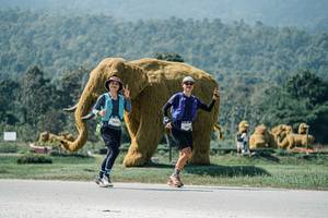 BIB: 
                            <button type="button" onclick="openModal(25968795)" class="btn btn-primary btn-sm float-right btn-popup" data-toggle="modal" data-target=".modal-high-quality">
                        <i class="fas fa-shopping-cart"></i> Add to Cart
                    </button>
                                            <button type="button" onclick="isThisMe(25968795, true)" class="btn btn-success btn-sm float-right btn-popup btn-isme hidden" data-toggle="tooltip" data-placement="bottom" title="นี่คือรูปของคุณใช่ไหม คลิกที่นี่เพื่อเอาเข้าอัลบั้ม">
                        <i class="fas fa-plus"></i> Add to album
                    </button>
                    <button type="button" onclick="isThisMe(25968795, false)" class="btn btn-warning btn-sm float-right btn-popup btn-isnotme hidden">
                        <i class="fas fa-ban"></i> Remove from album
                    </button>