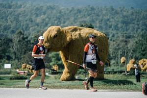 BIB: 
                            <button type="button" onclick="openModal(25923142)" class="btn btn-primary btn-sm float-right btn-popup" data-toggle="modal" data-target=".modal-high-quality">
                        <i class="fas fa-shopping-cart"></i> Add to Cart
                    </button>
                                            <button type="button" onclick="isThisMe(25923142, true)" class="btn btn-success btn-sm float-right btn-popup btn-isme hidden" data-toggle="tooltip" data-placement="bottom" title="นี่คือรูปของคุณใช่ไหม คลิกที่นี่เพื่อเอาเข้าอัลบั้ม">
                        <i class="fas fa-plus"></i> Add to album
                    </button>
                    <button type="button" onclick="isThisMe(25923142, false)" class="btn btn-warning btn-sm float-right btn-popup btn-isnotme hidden">
                        <i class="fas fa-ban"></i> Remove from album
                    </button>