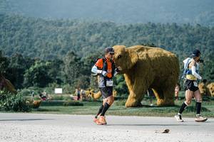 BIB: 
                            <button type="button" onclick="openModal(25898403)" class="btn btn-primary btn-sm float-right btn-popup" data-toggle="modal" data-target=".modal-high-quality">
                        <i class="fas fa-shopping-cart"></i> Add to Cart
                    </button>
                                            <button type="button" onclick="isThisMe(25898403, true)" class="btn btn-success btn-sm float-right btn-popup btn-isme hidden" data-toggle="tooltip" data-placement="bottom" title="นี่คือรูปของคุณใช่ไหม คลิกที่นี่เพื่อเอาเข้าอัลบั้ม">
                        <i class="fas fa-plus"></i> Add to album
                    </button>
                    <button type="button" onclick="isThisMe(25898403, false)" class="btn btn-warning btn-sm float-right btn-popup btn-isnotme hidden">
                        <i class="fas fa-ban"></i> Remove from album
                    </button>