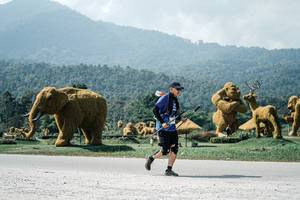 BIB: 
                            <button type="button" onclick="openModal(25982161)" class="btn btn-primary btn-sm float-right btn-popup" data-toggle="modal" data-target=".modal-high-quality">
                        <i class="fas fa-shopping-cart"></i> Add to Cart
                    </button>
                                            <button type="button" onclick="isThisMe(25982161, true)" class="btn btn-success btn-sm float-right btn-popup btn-isme hidden" data-toggle="tooltip" data-placement="bottom" title="นี่คือรูปของคุณใช่ไหม คลิกที่นี่เพื่อเอาเข้าอัลบั้ม">
                        <i class="fas fa-plus"></i> Add to album
                    </button>
                    <button type="button" onclick="isThisMe(25982161, false)" class="btn btn-warning btn-sm float-right btn-popup btn-isnotme hidden">
                        <i class="fas fa-ban"></i> Remove from album
                    </button>