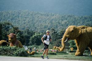 BIB: 
                            <button type="button" onclick="openModal(25932014)" class="btn btn-primary btn-sm float-right btn-popup" data-toggle="modal" data-target=".modal-high-quality">
                        <i class="fas fa-shopping-cart"></i> Add to Cart
                    </button>
                                            <button type="button" onclick="isThisMe(25932014, true)" class="btn btn-success btn-sm float-right btn-popup btn-isme hidden" data-toggle="tooltip" data-placement="bottom" title="นี่คือรูปของคุณใช่ไหม คลิกที่นี่เพื่อเอาเข้าอัลบั้ม">
                        <i class="fas fa-plus"></i> Add to album
                    </button>
                    <button type="button" onclick="isThisMe(25932014, false)" class="btn btn-warning btn-sm float-right btn-popup btn-isnotme hidden">
                        <i class="fas fa-ban"></i> Remove from album
                    </button>