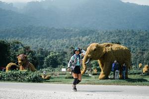 BIB: 
                            <button type="button" onclick="openModal(25939662)" class="btn btn-primary btn-sm float-right btn-popup" data-toggle="modal" data-target=".modal-high-quality">
                        <i class="fas fa-shopping-cart"></i> Add to Cart
                    </button>
                                            <button type="button" onclick="isThisMe(25939662, true)" class="btn btn-success btn-sm float-right btn-popup btn-isme hidden" data-toggle="tooltip" data-placement="bottom" title="นี่คือรูปของคุณใช่ไหม คลิกที่นี่เพื่อเอาเข้าอัลบั้ม">
                        <i class="fas fa-plus"></i> Add to album
                    </button>
                    <button type="button" onclick="isThisMe(25939662, false)" class="btn btn-warning btn-sm float-right btn-popup btn-isnotme hidden">
                        <i class="fas fa-ban"></i> Remove from album
                    </button>