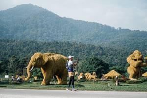 BIB: 
                            <button type="button" onclick="openModal(25871675)" class="btn btn-primary btn-sm float-right btn-popup" data-toggle="modal" data-target=".modal-high-quality">
                        <i class="fas fa-shopping-cart"></i> Add to Cart
                    </button>
                                            <button type="button" onclick="isThisMe(25871675, true)" class="btn btn-success btn-sm float-right btn-popup btn-isme hidden" data-toggle="tooltip" data-placement="bottom" title="นี่คือรูปของคุณใช่ไหม คลิกที่นี่เพื่อเอาเข้าอัลบั้ม">
                        <i class="fas fa-plus"></i> Add to album
                    </button>
                    <button type="button" onclick="isThisMe(25871675, false)" class="btn btn-warning btn-sm float-right btn-popup btn-isnotme hidden">
                        <i class="fas fa-ban"></i> Remove from album
                    </button>