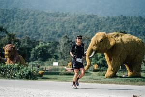 BIB: 
                            <button type="button" onclick="openModal(25895168)" class="btn btn-primary btn-sm float-right btn-popup" data-toggle="modal" data-target=".modal-high-quality">
                        <i class="fas fa-shopping-cart"></i> Add to Cart
                    </button>
                                            <button type="button" onclick="isThisMe(25895168, true)" class="btn btn-success btn-sm float-right btn-popup btn-isme hidden" data-toggle="tooltip" data-placement="bottom" title="นี่คือรูปของคุณใช่ไหม คลิกที่นี่เพื่อเอาเข้าอัลบั้ม">
                        <i class="fas fa-plus"></i> Add to album
                    </button>
                    <button type="button" onclick="isThisMe(25895168, false)" class="btn btn-warning btn-sm float-right btn-popup btn-isnotme hidden">
                        <i class="fas fa-ban"></i> Remove from album
                    </button>