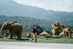 BIB: 
                            <button type="button" onclick="openModal(25982857)" class="btn btn-primary btn-sm float-right btn-popup" data-toggle="modal" data-target=".modal-high-quality">
                        <i class="fas fa-shopping-cart"></i> Add to Cart
                    </button>
                                            <button type="button" onclick="isThisMe(25982857, true)" class="btn btn-success btn-sm float-right btn-popup btn-isme hidden" data-toggle="tooltip" data-placement="bottom" title="นี่คือรูปของคุณใช่ไหม คลิกที่นี่เพื่อเอาเข้าอัลบั้ม">
                        <i class="fas fa-plus"></i> Add to album
                    </button>
                    <button type="button" onclick="isThisMe(25982857, false)" class="btn btn-warning btn-sm float-right btn-popup btn-isnotme hidden">
                        <i class="fas fa-ban"></i> Remove from album
                    </button>