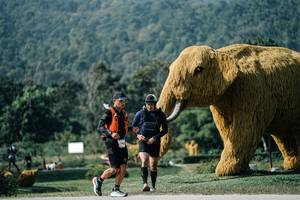 BIB: 
                            <button type="button" onclick="openModal(25888853)" class="btn btn-primary btn-sm float-right btn-popup" data-toggle="modal" data-target=".modal-high-quality">
                        <i class="fas fa-shopping-cart"></i> Add to Cart
                    </button>
                                            <button type="button" onclick="isThisMe(25888853, true)" class="btn btn-success btn-sm float-right btn-popup btn-isme hidden" data-toggle="tooltip" data-placement="bottom" title="นี่คือรูปของคุณใช่ไหม คลิกที่นี่เพื่อเอาเข้าอัลบั้ม">
                        <i class="fas fa-plus"></i> Add to album
                    </button>
                    <button type="button" onclick="isThisMe(25888853, false)" class="btn btn-warning btn-sm float-right btn-popup btn-isnotme hidden">
                        <i class="fas fa-ban"></i> Remove from album
                    </button>