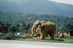 BIB: 
                            <button type="button" onclick="openModal(25887694)" class="btn btn-primary btn-sm float-right btn-popup" data-toggle="modal" data-target=".modal-high-quality">
                        <i class="fas fa-shopping-cart"></i> Add to Cart
                    </button>
                                            <button type="button" onclick="isThisMe(25887694, true)" class="btn btn-success btn-sm float-right btn-popup btn-isme hidden" data-toggle="tooltip" data-placement="bottom" title="นี่คือรูปของคุณใช่ไหม คลิกที่นี่เพื่อเอาเข้าอัลบั้ม">
                        <i class="fas fa-plus"></i> Add to album
                    </button>
                    <button type="button" onclick="isThisMe(25887694, false)" class="btn btn-warning btn-sm float-right btn-popup btn-isnotme hidden">
                        <i class="fas fa-ban"></i> Remove from album
                    </button>