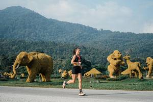 BIB: 
                            <button type="button" onclick="openModal(25870600)" class="btn btn-primary btn-sm float-right btn-popup" data-toggle="modal" data-target=".modal-high-quality">
                        <i class="fas fa-shopping-cart"></i> Add to Cart
                    </button>
                                            <button type="button" onclick="isThisMe(25870600, true)" class="btn btn-success btn-sm float-right btn-popup btn-isme hidden" data-toggle="tooltip" data-placement="bottom" title="นี่คือรูปของคุณใช่ไหม คลิกที่นี่เพื่อเอาเข้าอัลบั้ม">
                        <i class="fas fa-plus"></i> Add to album
                    </button>
                    <button type="button" onclick="isThisMe(25870600, false)" class="btn btn-warning btn-sm float-right btn-popup btn-isnotme hidden">
                        <i class="fas fa-ban"></i> Remove from album
                    </button>