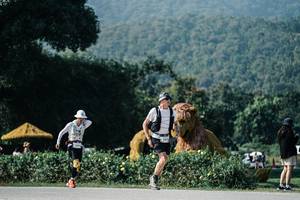 BIB: 
                            <button type="button" onclick="openModal(25875978)" class="btn btn-primary btn-sm float-right btn-popup" data-toggle="modal" data-target=".modal-high-quality">
                        <i class="fas fa-shopping-cart"></i> Add to Cart
                    </button>
                                            <button type="button" onclick="isThisMe(25875978, true)" class="btn btn-success btn-sm float-right btn-popup btn-isme hidden" data-toggle="tooltip" data-placement="bottom" title="นี่คือรูปของคุณใช่ไหม คลิกที่นี่เพื่อเอาเข้าอัลบั้ม">
                        <i class="fas fa-plus"></i> Add to album
                    </button>
                    <button type="button" onclick="isThisMe(25875978, false)" class="btn btn-warning btn-sm float-right btn-popup btn-isnotme hidden">
                        <i class="fas fa-ban"></i> Remove from album
                    </button>