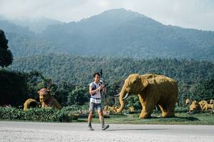 BIB: 
                            <button type="button" onclick="openModal(25886353)" class="btn btn-primary btn-sm float-right btn-popup" data-toggle="modal" data-target=".modal-high-quality">
                        <i class="fas fa-shopping-cart"></i> Add to Cart
                    </button>
                                            <button type="button" onclick="isThisMe(25886353, true)" class="btn btn-success btn-sm float-right btn-popup btn-isme hidden" data-toggle="tooltip" data-placement="bottom" title="นี่คือรูปของคุณใช่ไหม คลิกที่นี่เพื่อเอาเข้าอัลบั้ม">
                        <i class="fas fa-plus"></i> Add to album
                    </button>
                    <button type="button" onclick="isThisMe(25886353, false)" class="btn btn-warning btn-sm float-right btn-popup btn-isnotme hidden">
                        <i class="fas fa-ban"></i> Remove from album
                    </button>