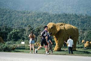 BIB: 
                            <button type="button" onclick="openModal(25884218)" class="btn btn-primary btn-sm float-right btn-popup" data-toggle="modal" data-target=".modal-high-quality">
                        <i class="fas fa-shopping-cart"></i> Add to Cart
                    </button>
                                            <button type="button" onclick="isThisMe(25884218, true)" class="btn btn-success btn-sm float-right btn-popup btn-isme hidden" data-toggle="tooltip" data-placement="bottom" title="นี่คือรูปของคุณใช่ไหม คลิกที่นี่เพื่อเอาเข้าอัลบั้ม">
                        <i class="fas fa-plus"></i> Add to album
                    </button>
                    <button type="button" onclick="isThisMe(25884218, false)" class="btn btn-warning btn-sm float-right btn-popup btn-isnotme hidden">
                        <i class="fas fa-ban"></i> Remove from album
                    </button>