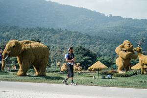 BIB: 
                            <button type="button" onclick="openModal(25930008)" class="btn btn-primary btn-sm float-right btn-popup" data-toggle="modal" data-target=".modal-high-quality">
                        <i class="fas fa-shopping-cart"></i> Add to Cart
                    </button>
                                            <button type="button" onclick="isThisMe(25930008, true)" class="btn btn-success btn-sm float-right btn-popup btn-isme hidden" data-toggle="tooltip" data-placement="bottom" title="นี่คือรูปของคุณใช่ไหม คลิกที่นี่เพื่อเอาเข้าอัลบั้ม">
                        <i class="fas fa-plus"></i> Add to album
                    </button>
                    <button type="button" onclick="isThisMe(25930008, false)" class="btn btn-warning btn-sm float-right btn-popup btn-isnotme hidden">
                        <i class="fas fa-ban"></i> Remove from album
                    </button>