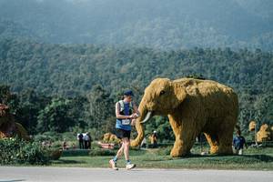 BIB: 
                            <button type="button" onclick="openModal(25878453)" class="btn btn-primary btn-sm float-right btn-popup" data-toggle="modal" data-target=".modal-high-quality">
                        <i class="fas fa-shopping-cart"></i> Add to Cart
                    </button>
                                            <button type="button" onclick="isThisMe(25878453, true)" class="btn btn-success btn-sm float-right btn-popup btn-isme hidden" data-toggle="tooltip" data-placement="bottom" title="นี่คือรูปของคุณใช่ไหม คลิกที่นี่เพื่อเอาเข้าอัลบั้ม">
                        <i class="fas fa-plus"></i> Add to album
                    </button>
                    <button type="button" onclick="isThisMe(25878453, false)" class="btn btn-warning btn-sm float-right btn-popup btn-isnotme hidden">
                        <i class="fas fa-ban"></i> Remove from album
                    </button>