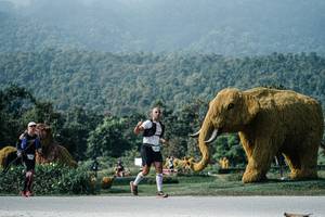 BIB: 
                            <button type="button" onclick="openModal(25892531)" class="btn btn-primary btn-sm float-right btn-popup" data-toggle="modal" data-target=".modal-high-quality">
                        <i class="fas fa-shopping-cart"></i> Add to Cart
                    </button>
                                            <button type="button" onclick="isThisMe(25892531, true)" class="btn btn-success btn-sm float-right btn-popup btn-isme hidden" data-toggle="tooltip" data-placement="bottom" title="นี่คือรูปของคุณใช่ไหม คลิกที่นี่เพื่อเอาเข้าอัลบั้ม">
                        <i class="fas fa-plus"></i> Add to album
                    </button>
                    <button type="button" onclick="isThisMe(25892531, false)" class="btn btn-warning btn-sm float-right btn-popup btn-isnotme hidden">
                        <i class="fas fa-ban"></i> Remove from album
                    </button>